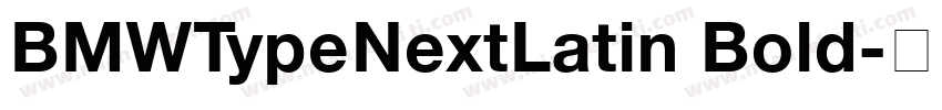 BMWTypeNextLatin Bold字体转换